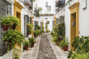 Over 8600 home sales in Andalucia in October