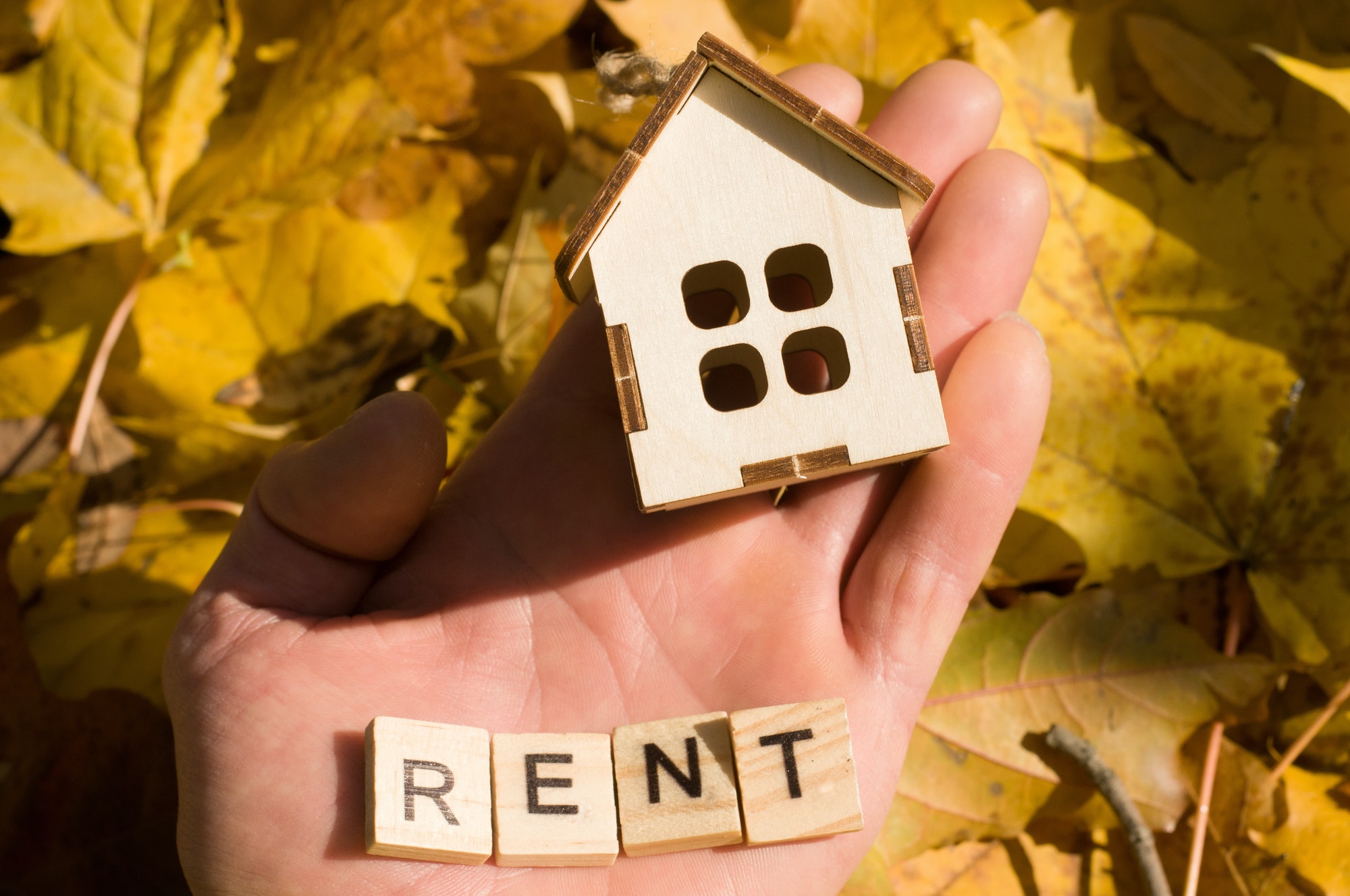 Cost of renting in Spain up 0.6% in August