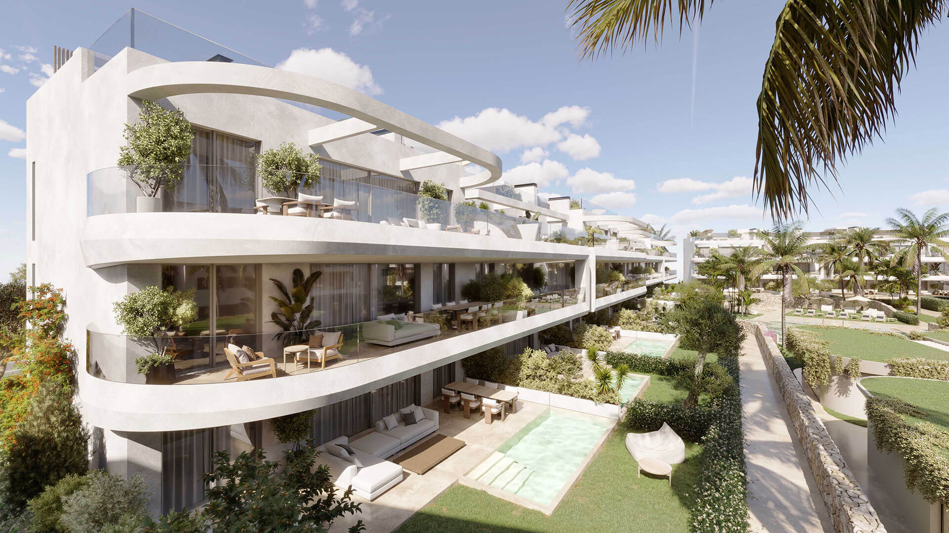 The Palms