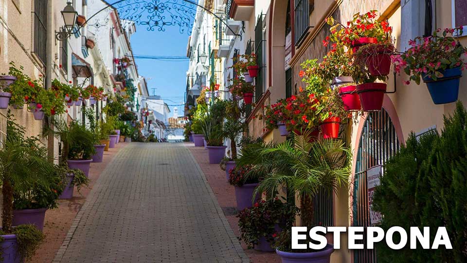 Area Guide - Estepona
